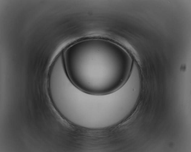 X0000096651376200802121123