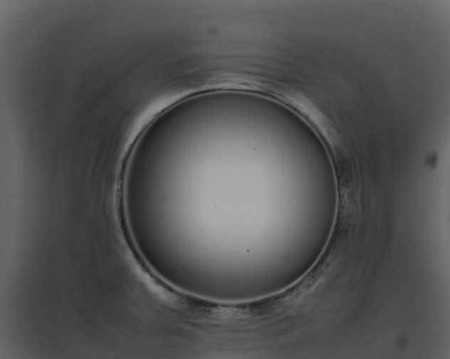 X0000096651379200802121123