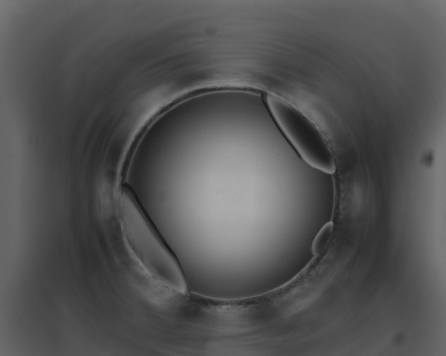 X0000096651380200802121123