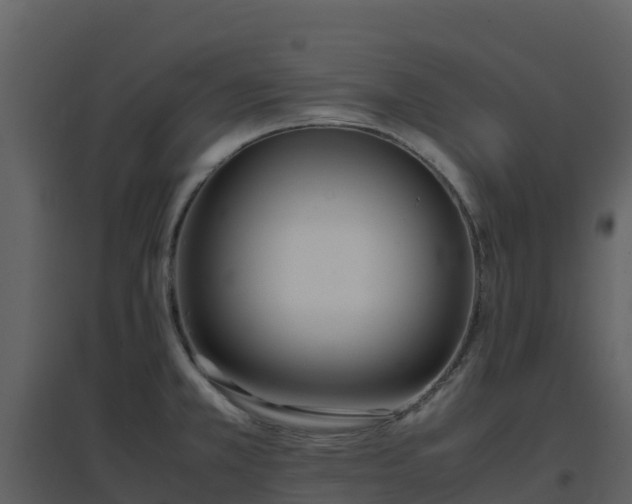 X0000096651381200802121123