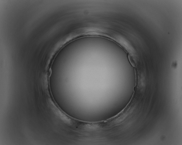X0000096651384200802121123