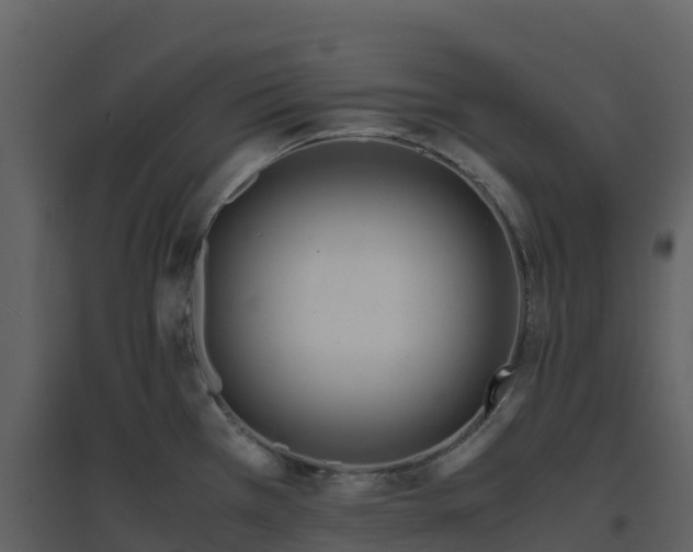 X0000096651385200802121123
