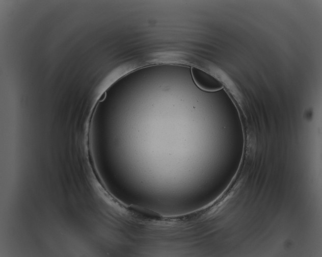 X0000096651386200802121123