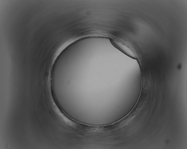 X0000096651387200802121123