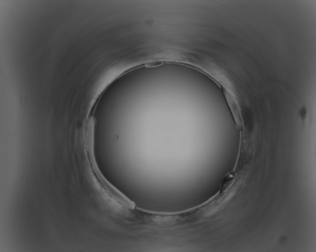X0000096651389200802121123