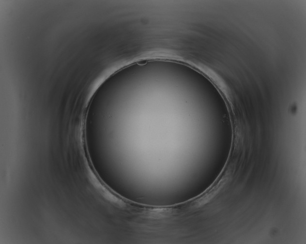 X0000096651390200802121123