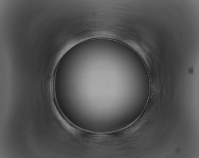 X0000096651391200802121123