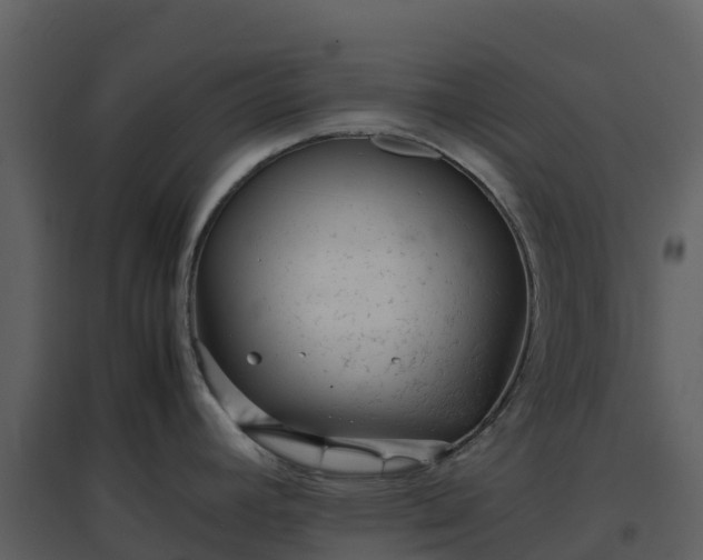 X0000096651392200802121123