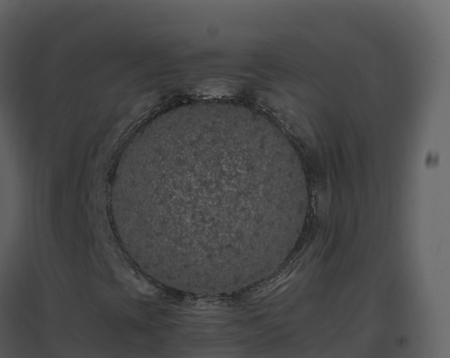 X0000096651393200802121122
