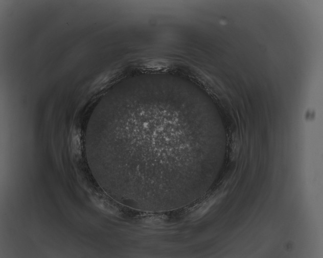 X0000096651394200802121122