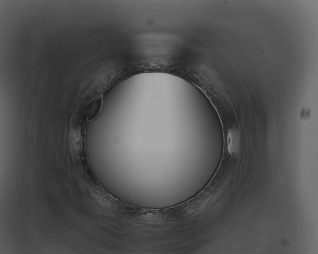 X0000096651395200802121122