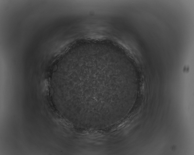 X0000096651397200802121122