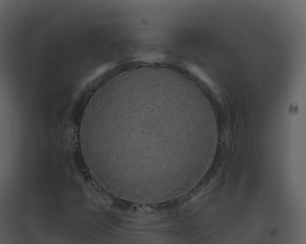 X0000096651398200802121122