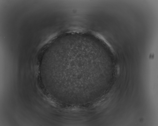 X0000096651399200802121122