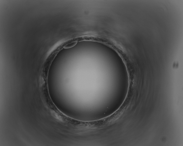 X0000096651400200802121122