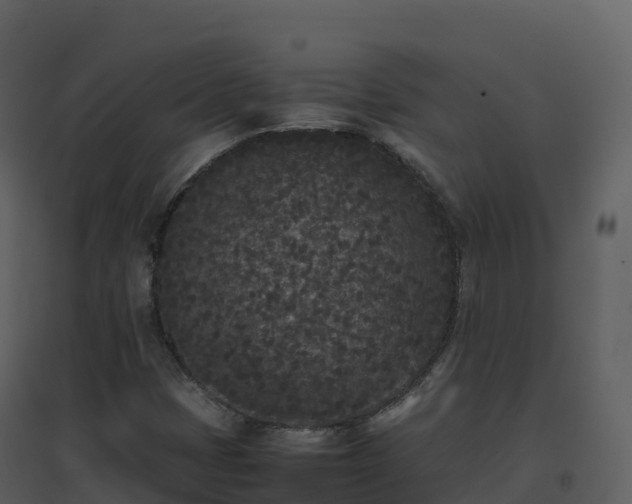 X0000096651401200802121122