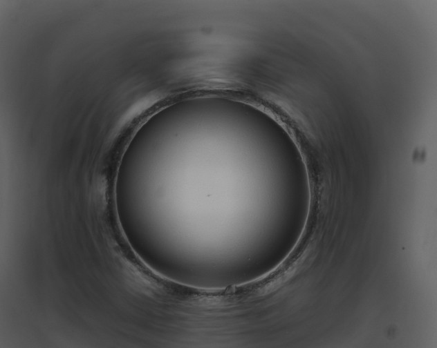 X0000096651402200802121122