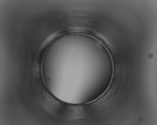 X0000096651403200802121122