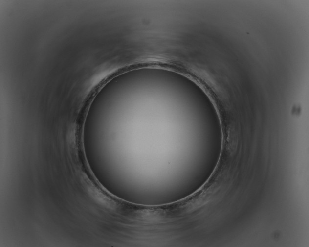 X0000096651404200802121122
