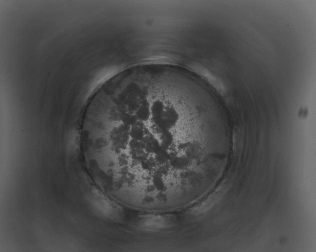 X0000096651405200802121122