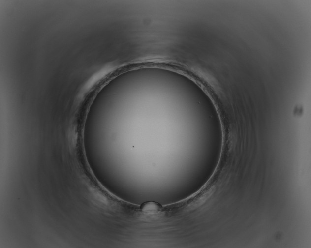 X0000096651406200802121122