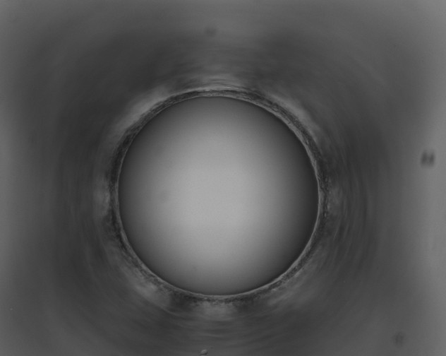 X0000096651407200802121122