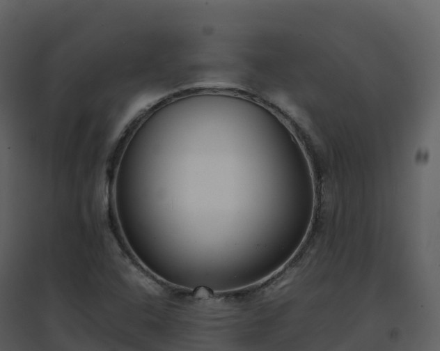 X0000096651408200802121122