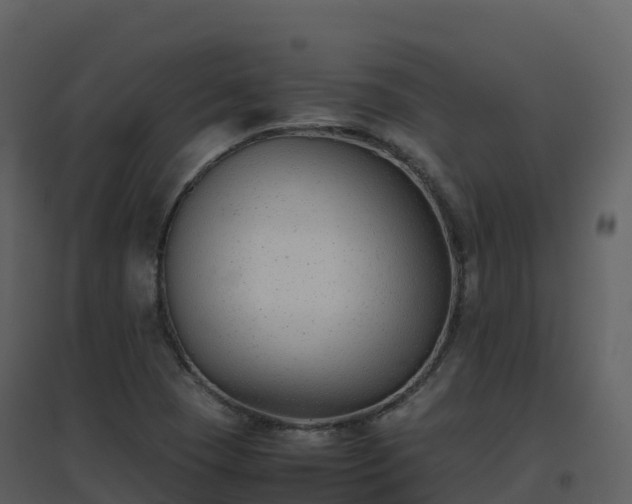 X0000096651409200802121122