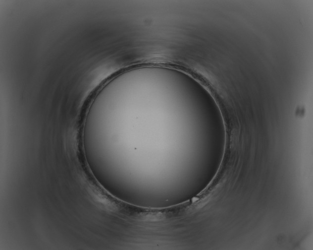 X0000096651410200802121122