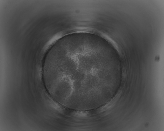 X0000096651411200802121122