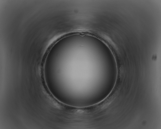 X0000096651412200802121122