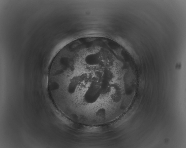 X0000096651413200802121122