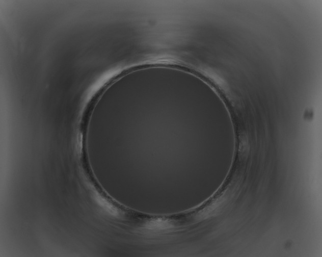 X0000096651414200802121122