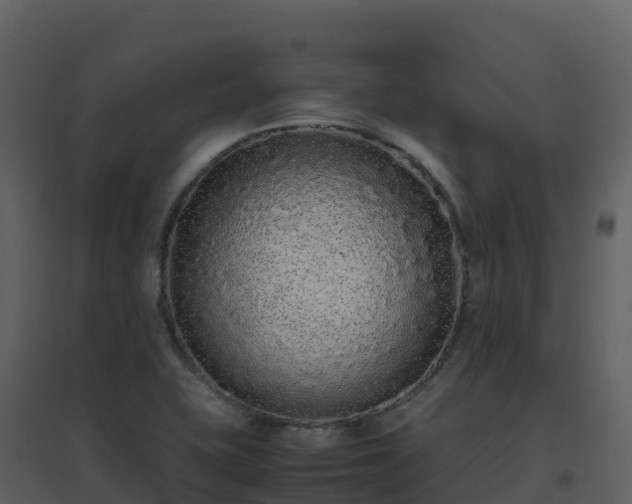 X0000096651415200802121122