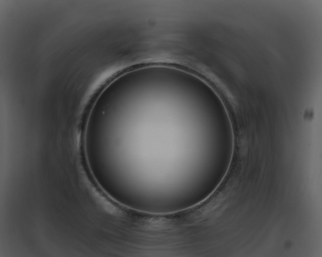 X0000096651416200802121122