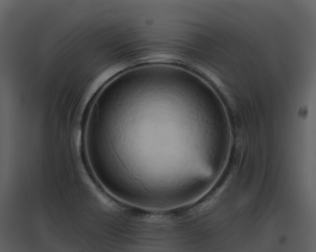 X0000096651418200802121122