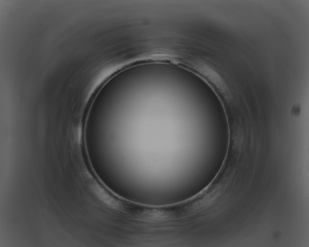 X0000096651420200802121122