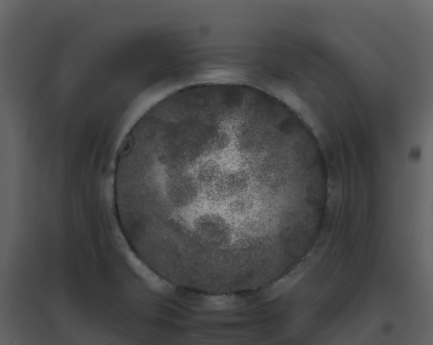 X0000096651421200802121122