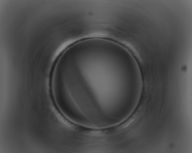 X0000096651422200802121122