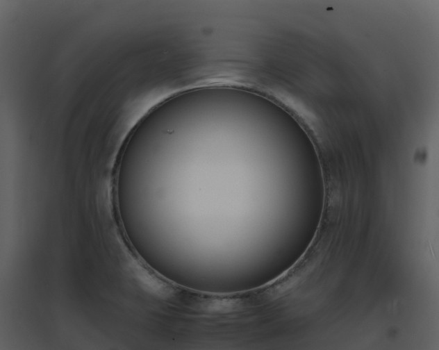 X0000096651423200802121122