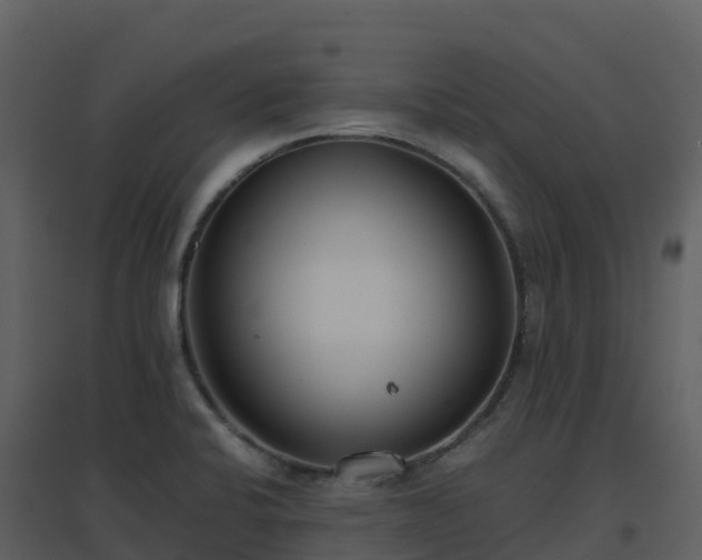 X0000096651424200802121122