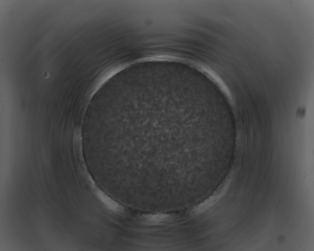 X0000096651425200802121122
