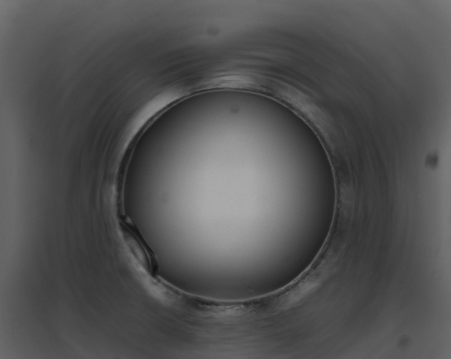X0000096651426200802121122