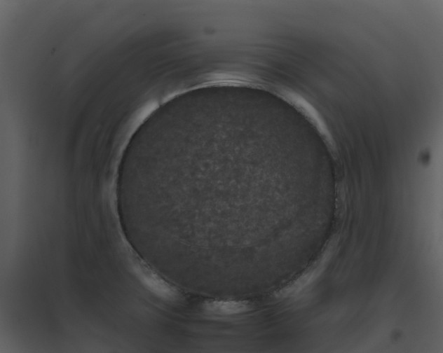 X0000096651427200802121122