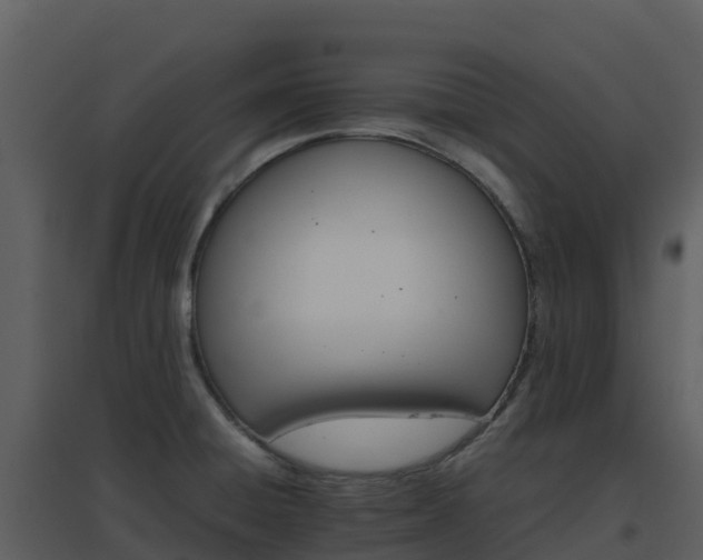 X0000096651428200802121122