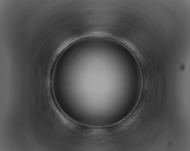 X0000096651430200802121122