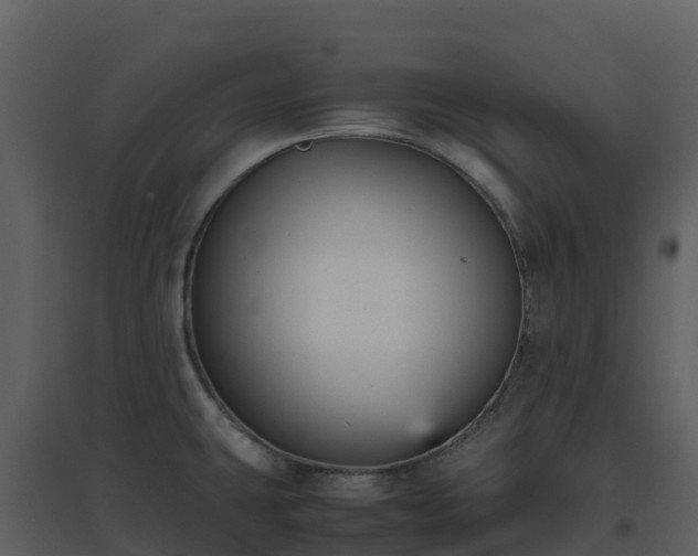 X0000096651431200802121122