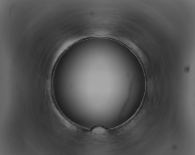 X0000096651432200802121122