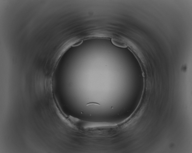 X0000096651433200802121122
