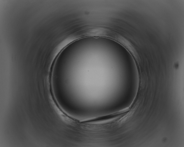 X0000096651434200802121122
